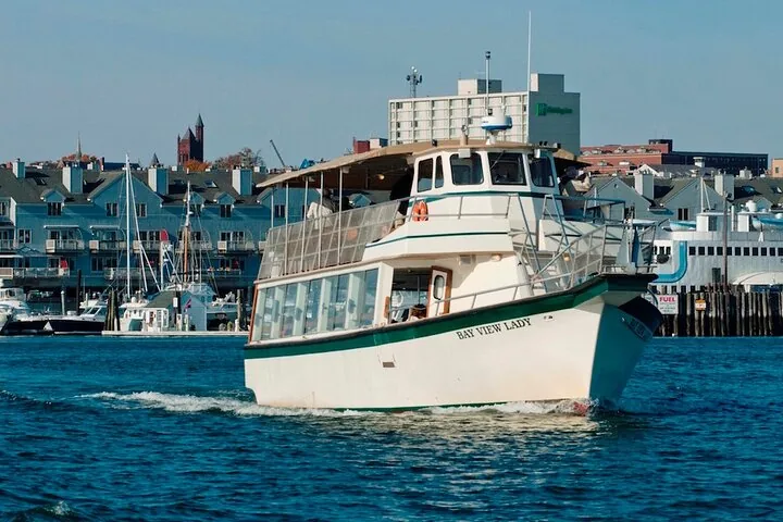 Das Ausflugsboot Bay View Lady fährt auf dem Wasser, mit Gebäuden im Hintergrund.